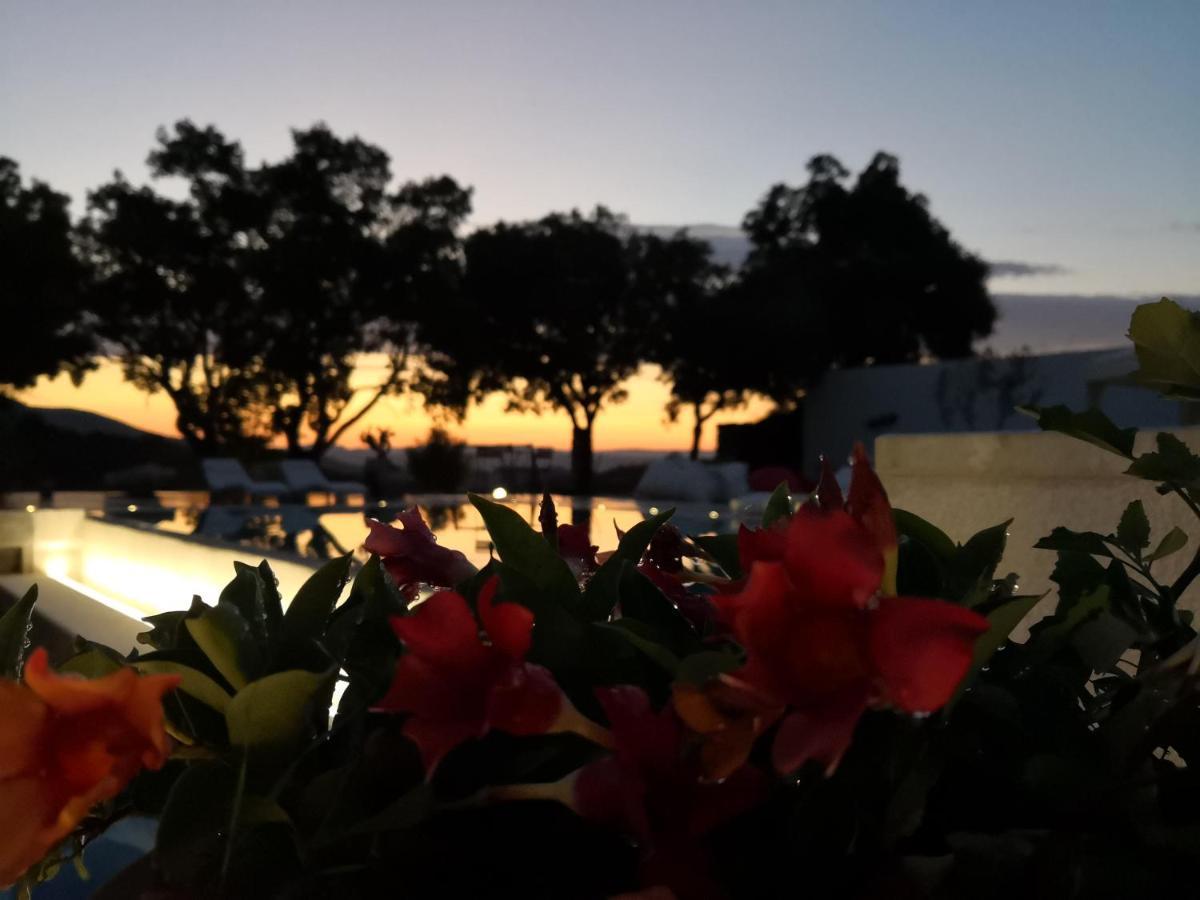 دورغالي Villa Maria المظهر الخارجي الصورة