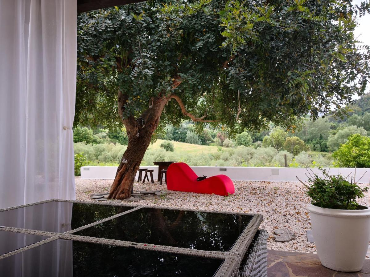دورغالي Villa Maria المظهر الخارجي الصورة