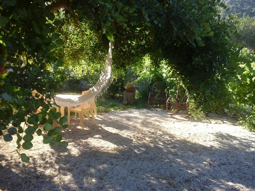 دورغالي Villa Maria المظهر الخارجي الصورة