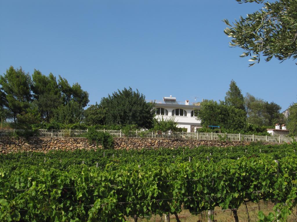دورغالي Villa Maria المظهر الخارجي الصورة