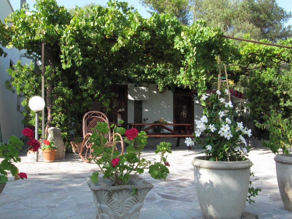 دورغالي Villa Maria المظهر الخارجي الصورة